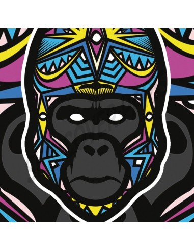 Gorille by Baro Sarre
